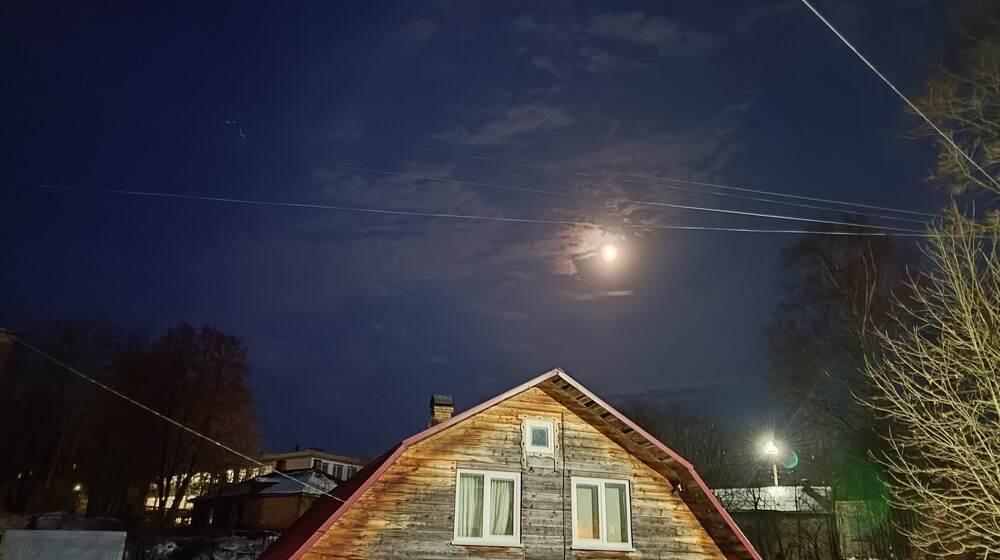 Книжный адвент
Новогодние истории