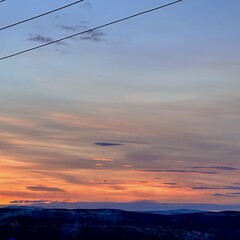 Уютные детективы 