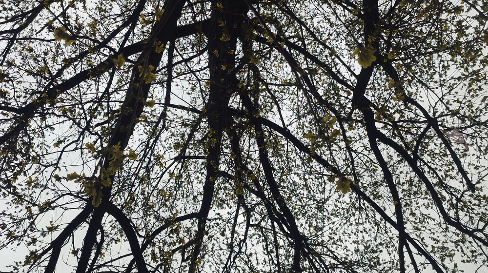 Текст и редактура