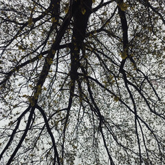 Текст и редактура