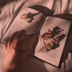 Художественная литература, то, что не вошло в другие жанры