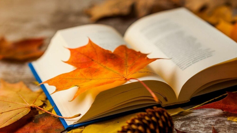 Осеннее настроение