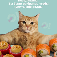 Любимое 🧶