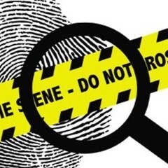 Детективы/расследования 