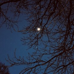 Бу! Побояться 