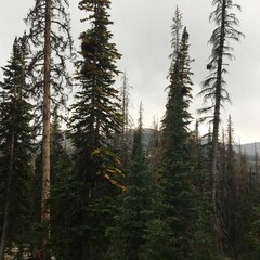 брошено / отложено ꫂ᭪݁˚˖𓍢ִ