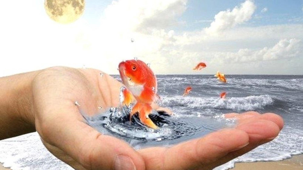 Мечты и желания 