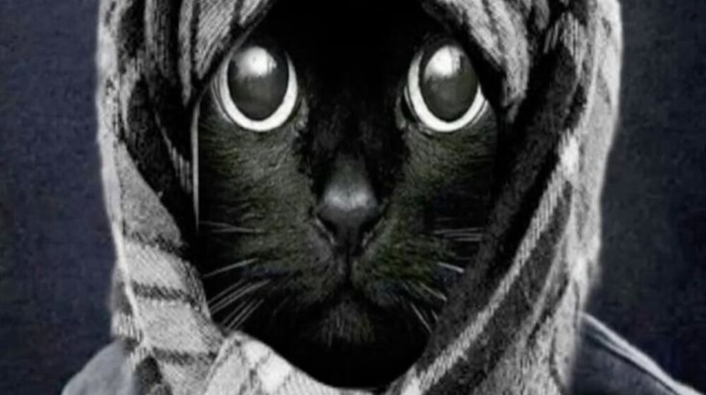 ай да сукин сын