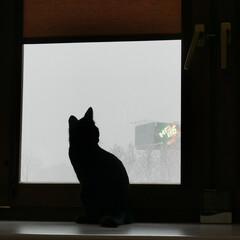 Детская литература