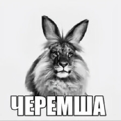 Для болтовни