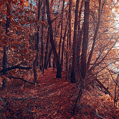 Книги для себя 2