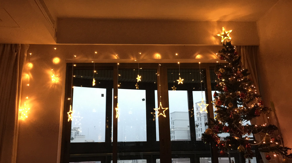 Полка прекрасного пола