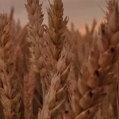 Необычные новые книги 