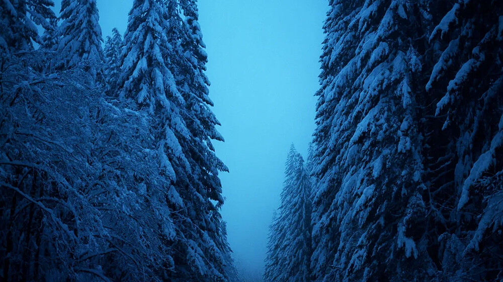 Зимние книги