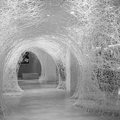 Детство золотое