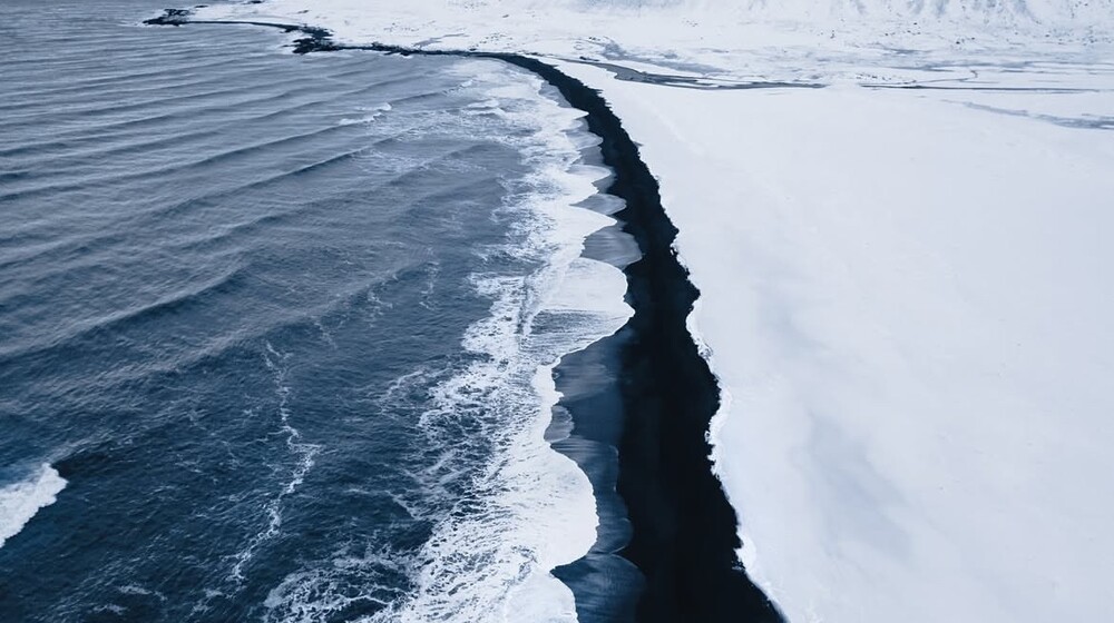 Прочитано в январе 2025