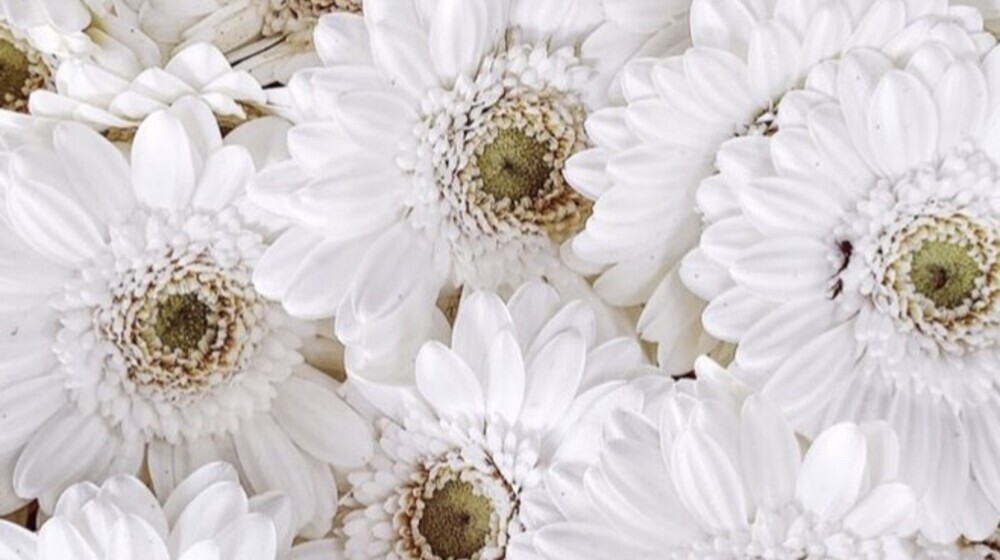 Прочитать 👀