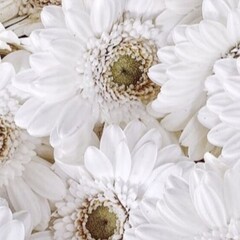 Прочитать 👀