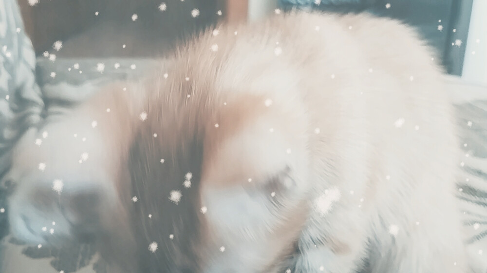 Зимнее чтение 📚