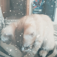 Зимнее чтение 📚