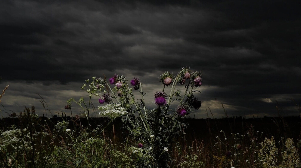 Любимые ролевые