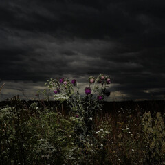 Любимые ролевые