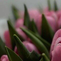 Ближайшие планы (весна)