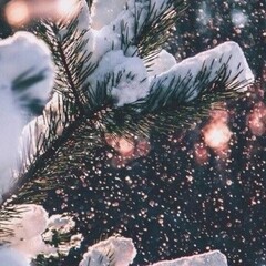 Зима 🎄☃️