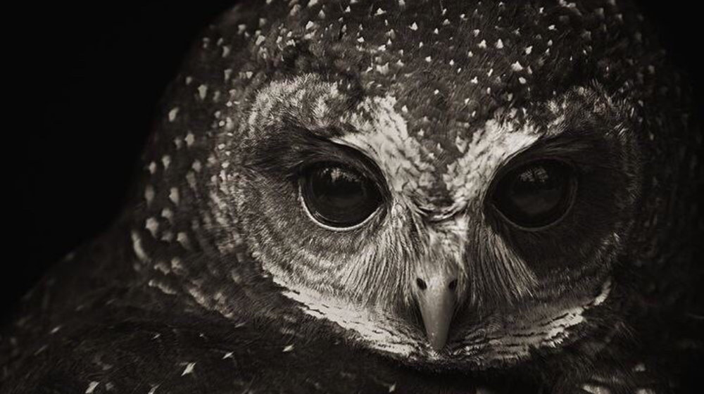 Психология