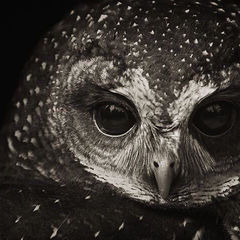 Психология