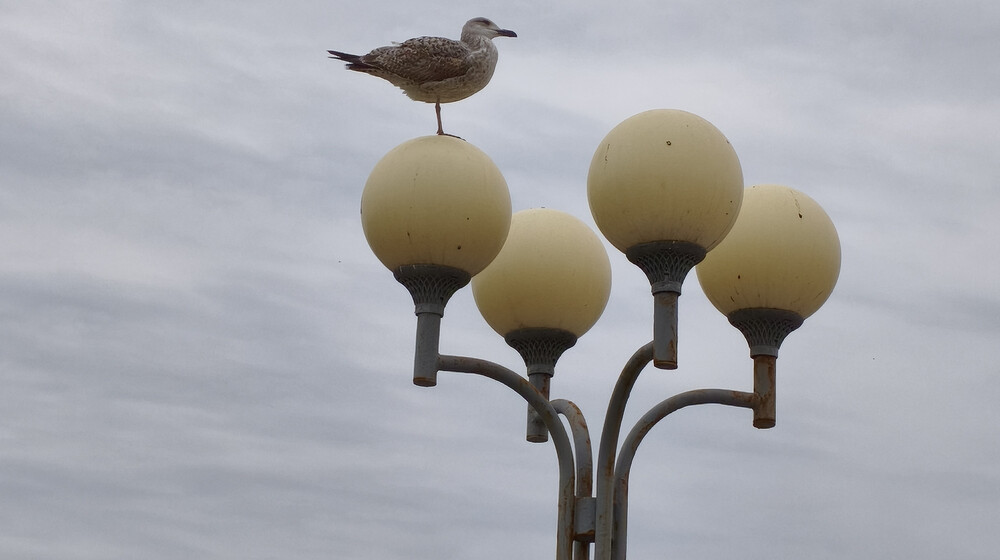 Прикольная фантастика