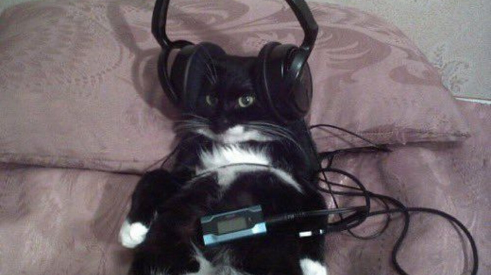 Аудио книги