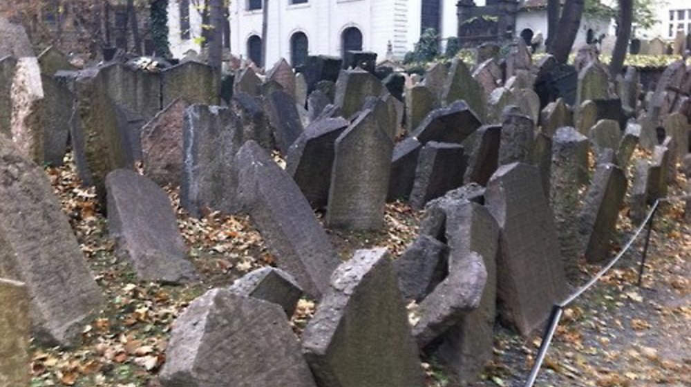 Общество, государство, человек