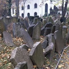 Общество, государство, человек