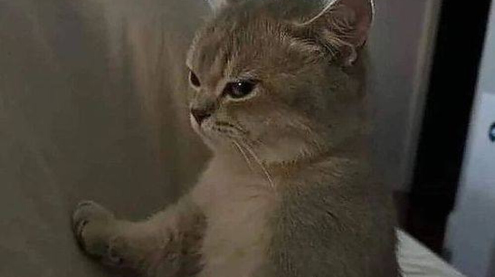 Семейные драмы