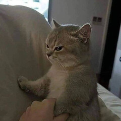 Семейные драмы