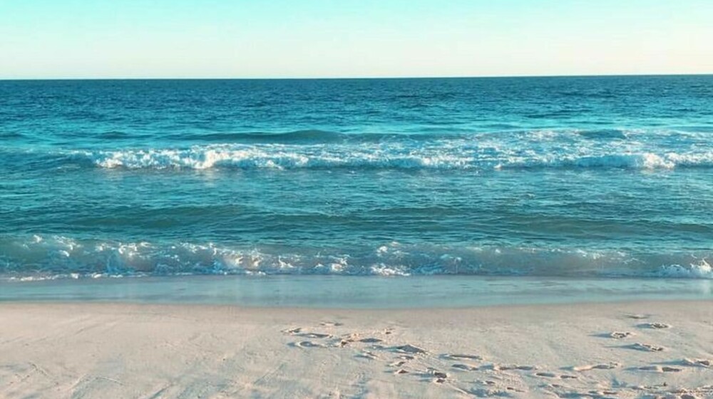 Летний вайб.