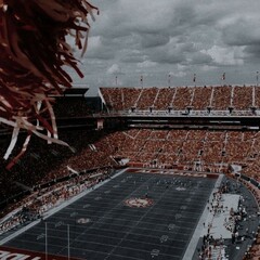 Спортивные романы🏅