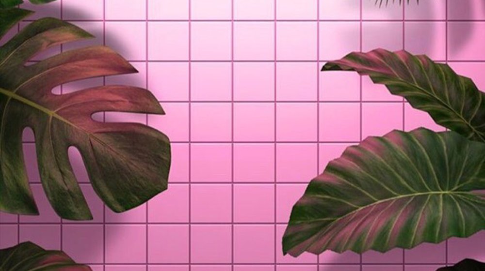 Взаимоотношения 
