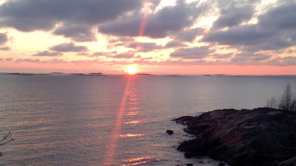 Подорожник