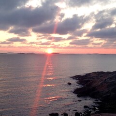 Подорожник