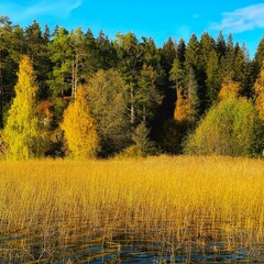 «Капитанская дочка» и её автор