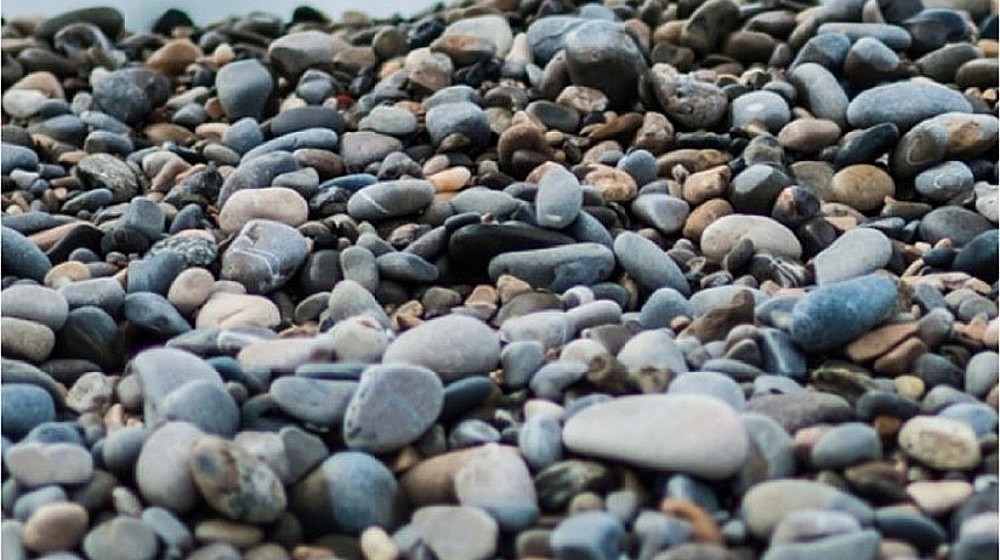 Перечитываю взахлеб