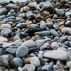 Перечитываю взахлеб