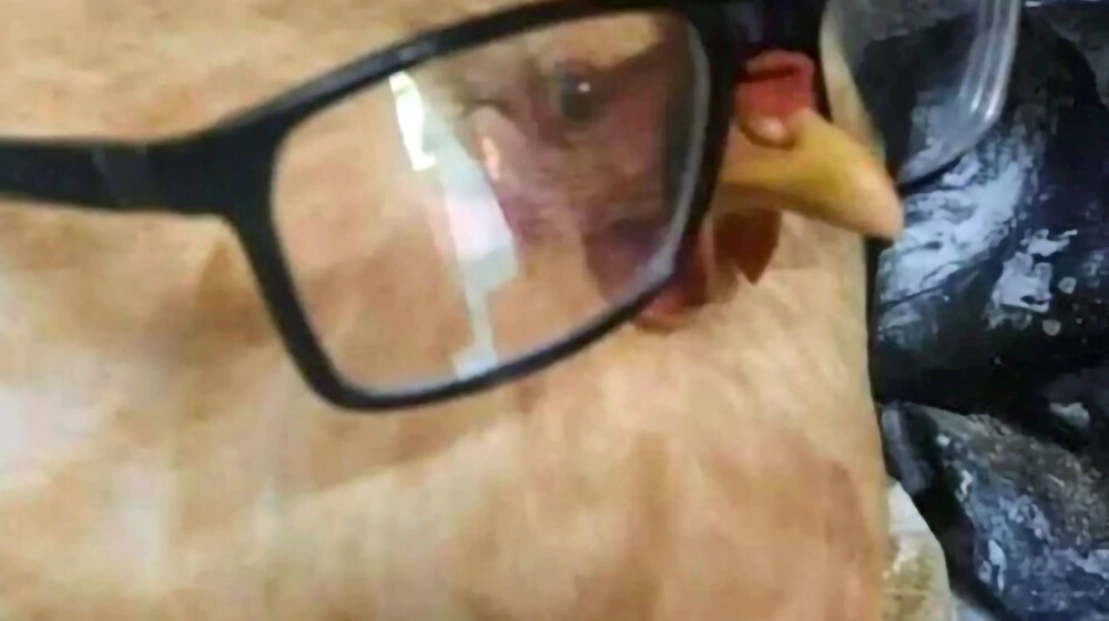 Историческое