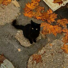 Супер осенний вайб