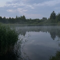 Ведьмин мир