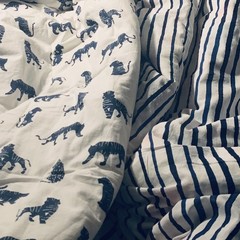 Читать, пока все спят