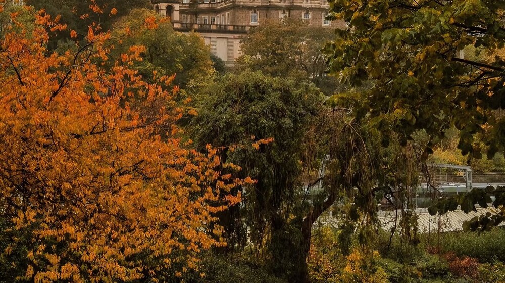 осенняя подборка 🍂