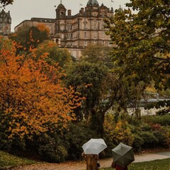 осенняя подборка 🍂